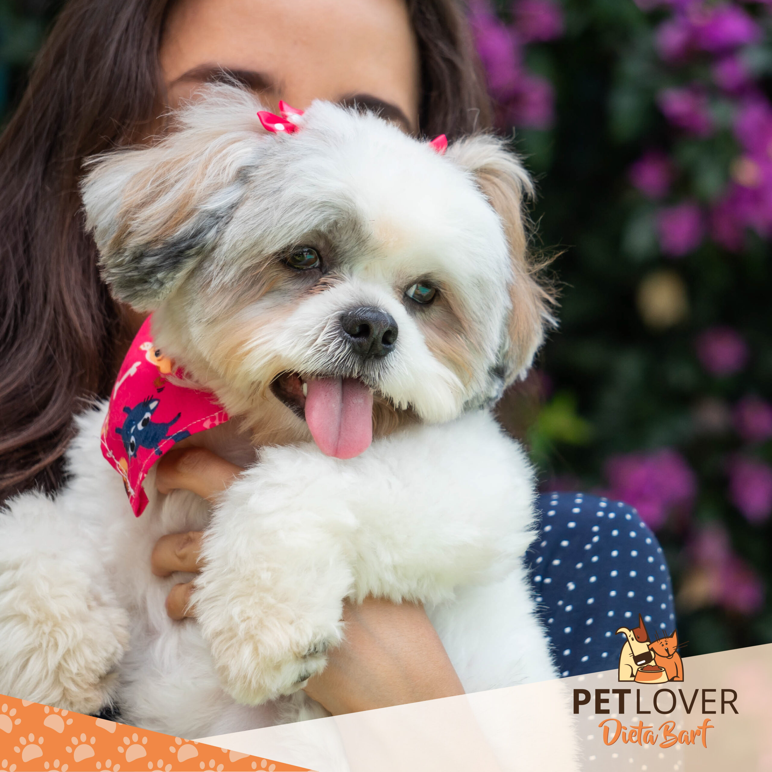 PET LOVER PET LOVER